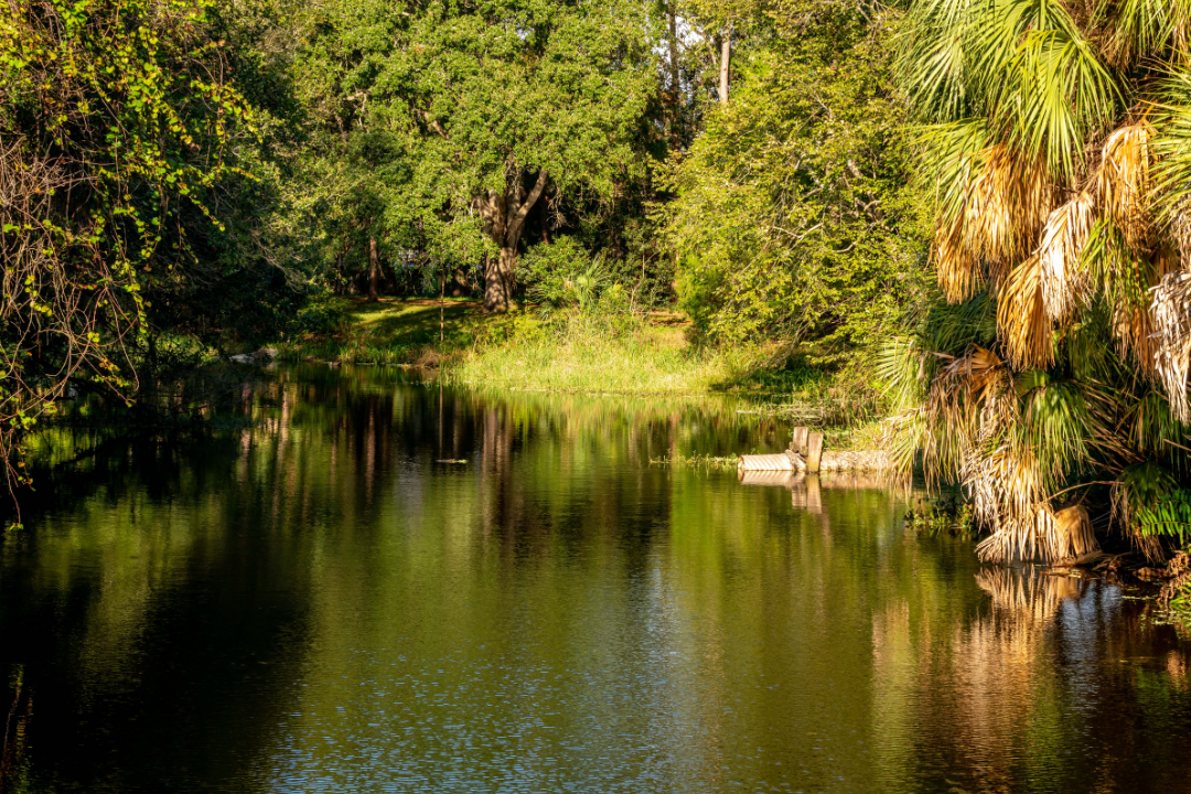 Sawgrass park freshwater fishing for rent